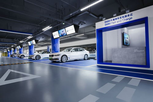 寶馬攜手國(guó)網(wǎng)電動(dòng)汽車公司，深化技術(shù)開發(fā)戰(zhàn)略合作